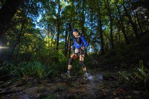 BIB: 
                            <button type="button" onclick="openModal(19230763)" class="btn btn-primary btn-sm float-right btn-popup" data-toggle="modal" data-target=".modal-high-quality">
                        <i class="fas fa-shopping-cart"></i> Add to Cart
                    </button>
                                            <button type="button" onclick="isThisMe(19230763, true)" class="btn btn-success btn-sm float-right btn-popup btn-isme hidden" data-toggle="tooltip" data-placement="bottom" title="นี่คือรูปของคุณใช่ไหม คลิกที่นี่เพื่อเอาเข้าอัลบั้ม">
                        <i class="fas fa-plus"></i> Add to album
                    </button>
                    <button type="button" onclick="isThisMe(19230763, false)" class="btn btn-warning btn-sm float-right btn-popup btn-isnotme hidden">
                        <i class="fas fa-ban"></i> Remove from album
                    </button>